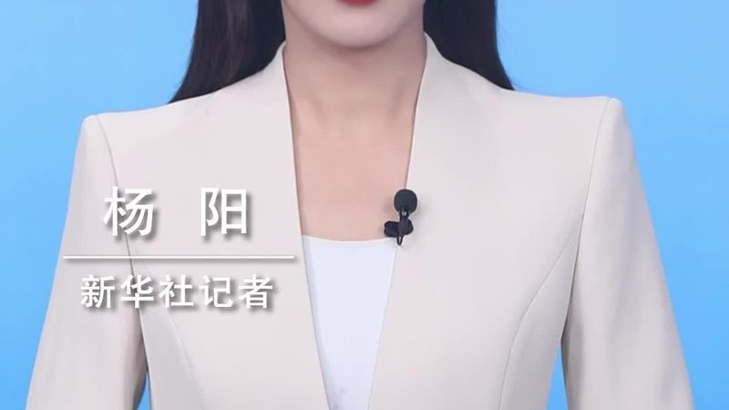 物流与供应链管理的核心差异与技术实现